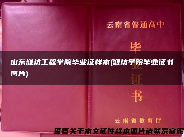 山东潍坊工程学院毕业证样本(潍坊学院毕业证书图片)