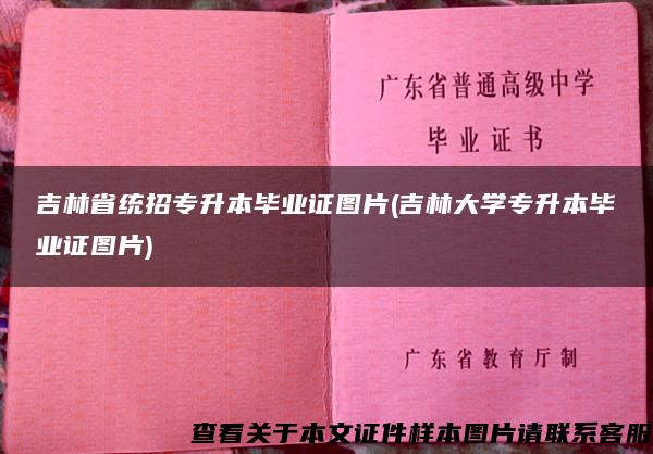 吉林省统招专升本毕业证图片(吉林大学专升本毕业证图片)