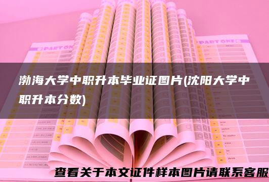 渤海大学中职升本毕业证图片(沈阳大学中职升本分数)