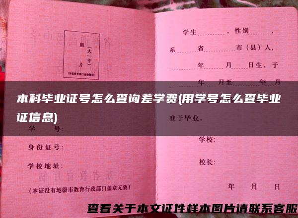 本科毕业证号怎么查询差学费(用学号怎么查毕业证信息)