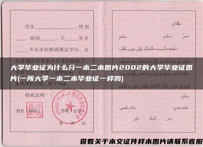 大学毕业证为什么分一本二本图片2002的大学毕业证图片(一所大学一本二本毕业证一样吗)