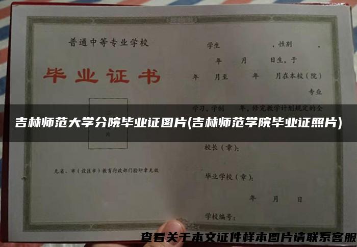 吉林师范大学分院毕业证图片(吉林师范学院毕业证照片)