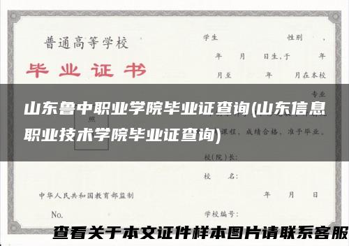 山东鲁中职业学院毕业证查询(山东信息职业技术学院毕业证查询)