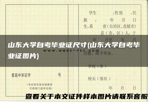 山东大学自考毕业证尺寸(山东大学自考毕业证图片)