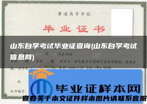 山东自学考试毕业证查询(山东自学考试信息网)