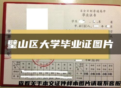 璧山区大学毕业证图片