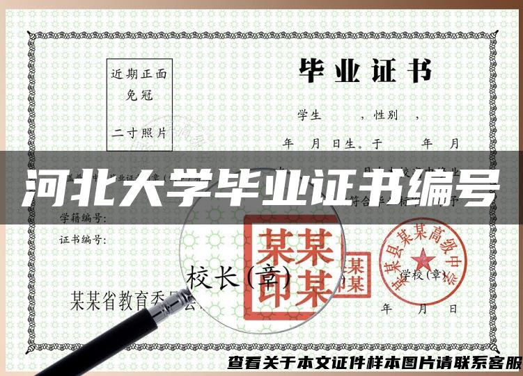 河北大学毕业证书编号