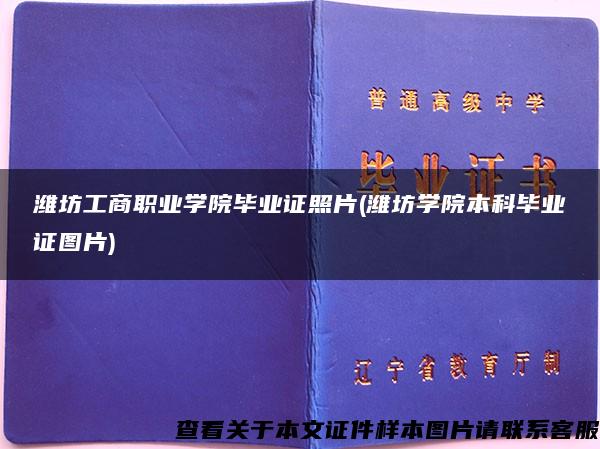 潍坊工商职业学院毕业证照片(潍坊学院本科毕业证图片)