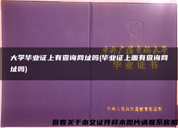 大学毕业证上有查询网址吗(毕业证上面有查询网址吗)