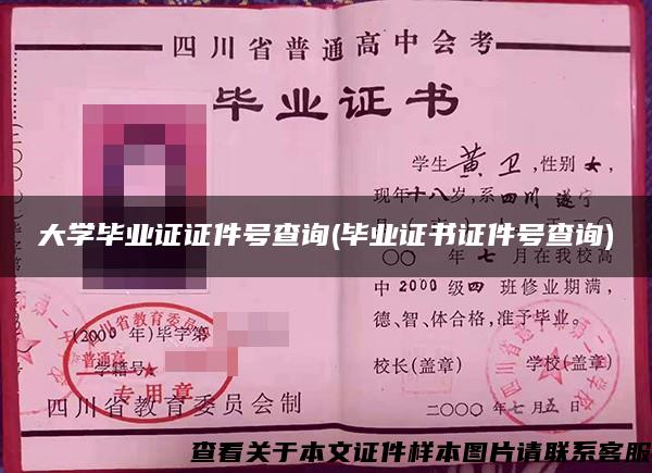 大学毕业证证件号查询(毕业证书证件号查询)