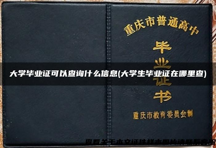 大学毕业证可以查询什么信息(大学生毕业证在哪里查)