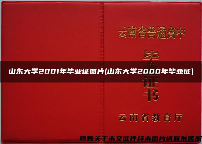 山东大学2001年毕业证图片(山东大学2000年毕业证)