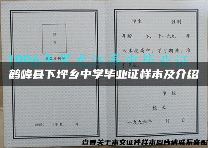 鹤峰县下坪乡中学毕业证样本及介绍