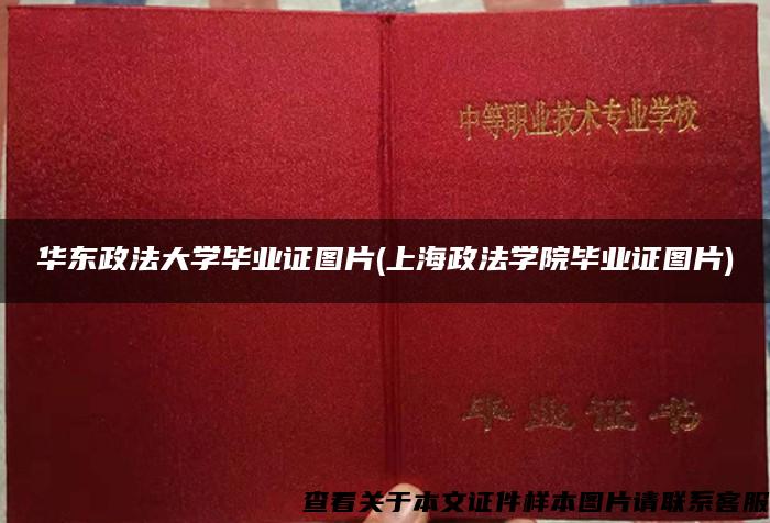 华东政法大学毕业证图片(上海政法学院毕业证图片)