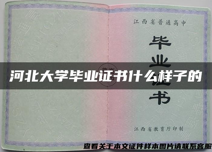 河北大学毕业证书什么样子的