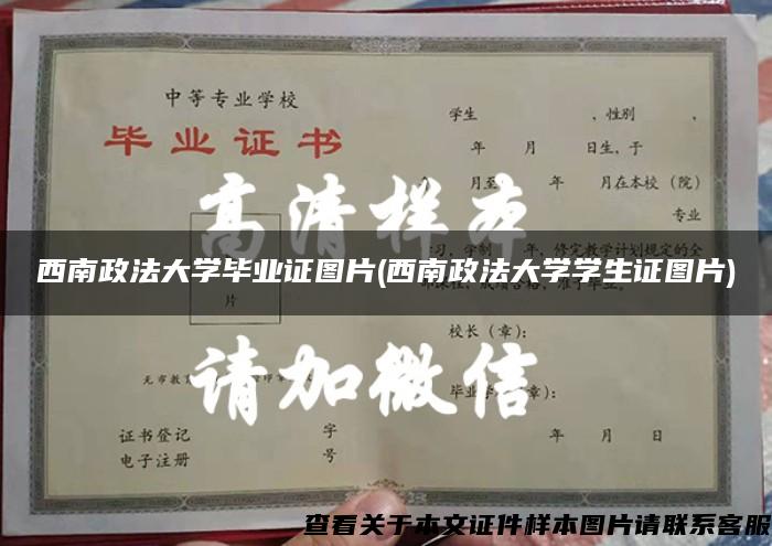 西南政法大学毕业证图片(西南政法大学学生证图片)