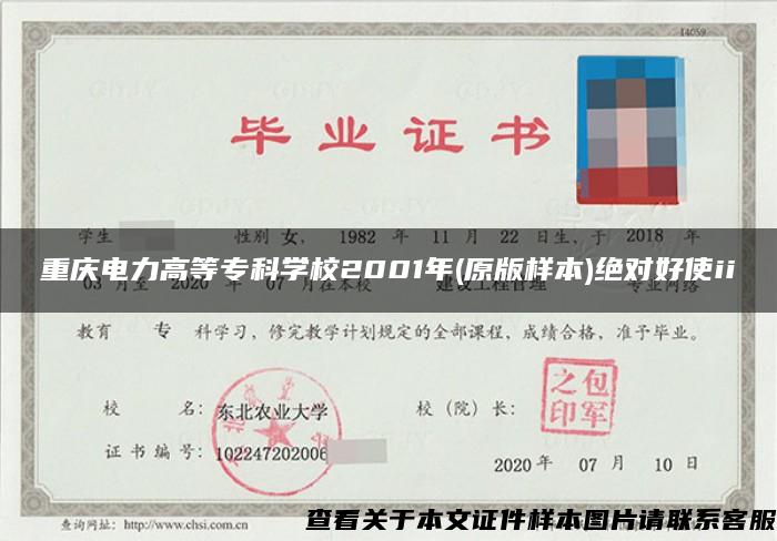 重庆电力高等专科学校2001年(原版样本)绝对好使ii