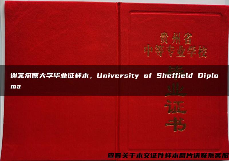 谢菲尔德大学毕业证样本，University of Sheffield Diploma