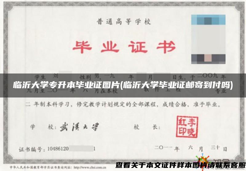 临沂大学专升本毕业证图片(临沂大学毕业证邮寄到付吗)