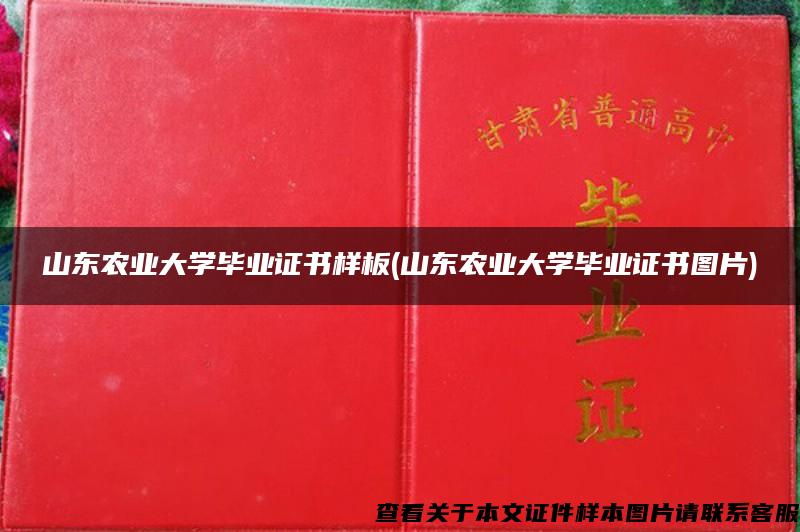 山东农业大学毕业证书样板(山东农业大学毕业证书图片)