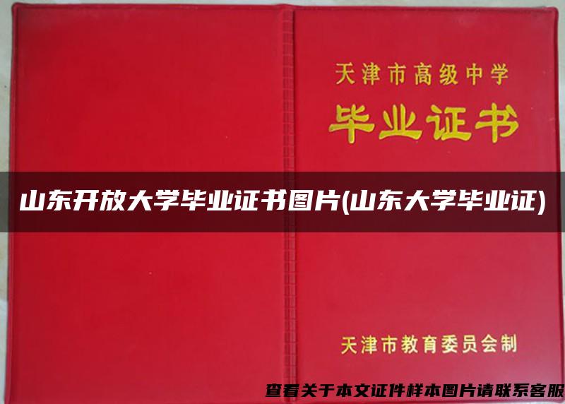 山东开放大学毕业证书图片(山东大学毕业证)