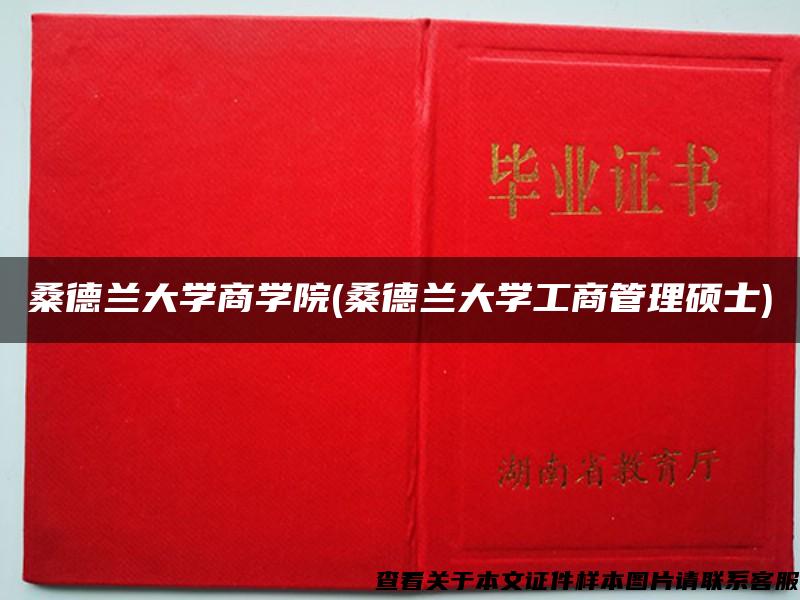 桑德兰大学商学院(桑德兰大学工商管理硕士)