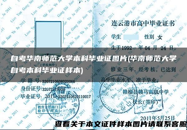 自考华南师范大学本科毕业证图片(华南师范大学自考本科毕业证样本)