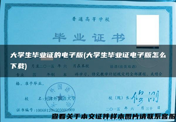 大学生毕业证的电子版(大学生毕业证电子版怎么下载)