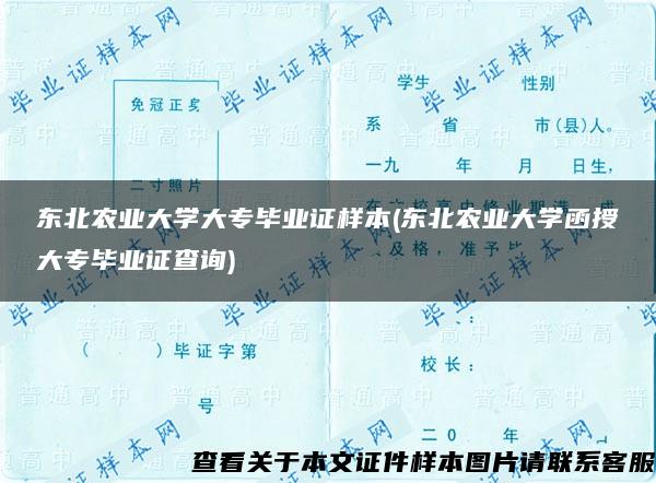 东北农业大学大专毕业证样本(东北农业大学函授大专毕业证查询)