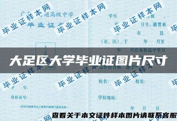 大足区大学毕业证图片尺寸