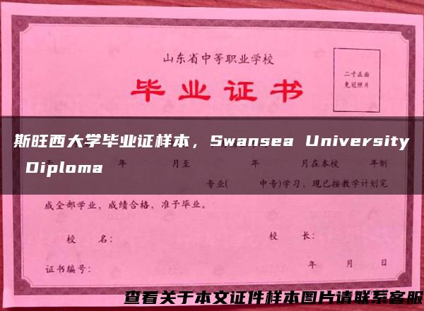 斯旺西大学毕业证样本，Swansea University Diploma