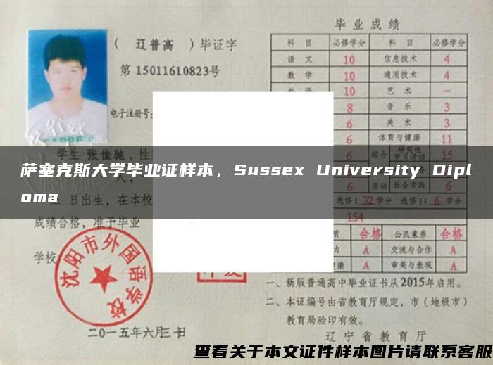 萨塞克斯大学毕业证样本，Sussex University Diploma