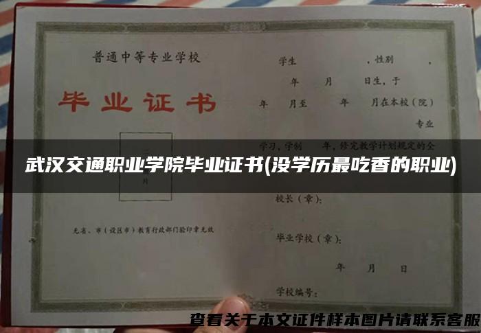 武汉交通职业学院毕业证书(没学历最吃香的职业)