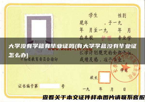 大学没有学籍有毕业证吗(有大学学籍没有毕业证怎么办)