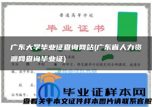 广东大学毕业证查询网站(广东省人力资源网查询毕业证)