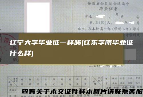 辽宁大学毕业证一样吗(辽东学院毕业证什么样)