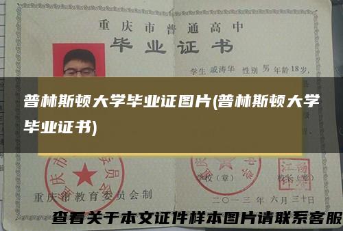 普林斯顿大学毕业证图片(普林斯顿大学毕业证书)