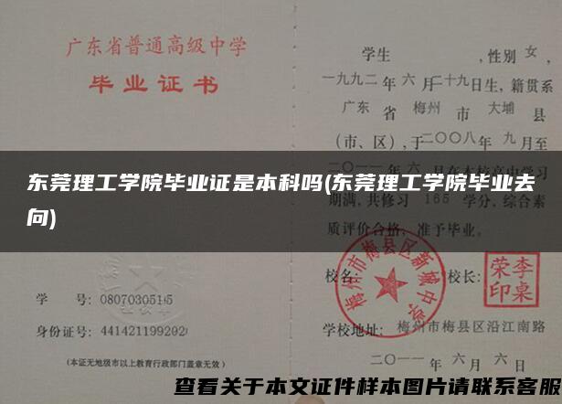 东莞理工学院毕业证是本科吗(东莞理工学院毕业去向)