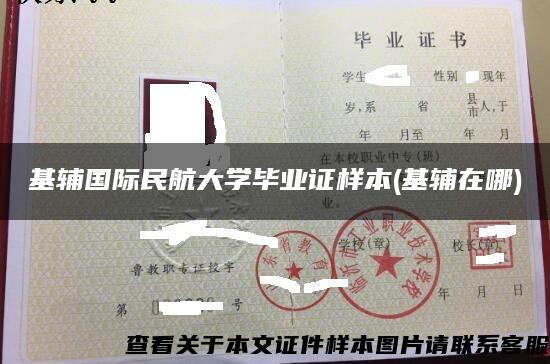 基辅国际民航大学毕业证样本(基辅在哪)