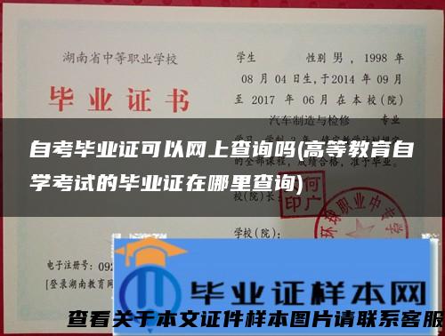 自考毕业证可以网上查询吗(高等教育自学考试的毕业证在哪里查询)