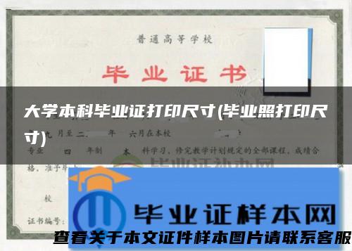 大学本科毕业证打印尺寸(毕业照打印尺寸)