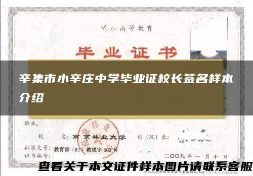 辛集市小辛庄中学毕业证校长签名样本介绍