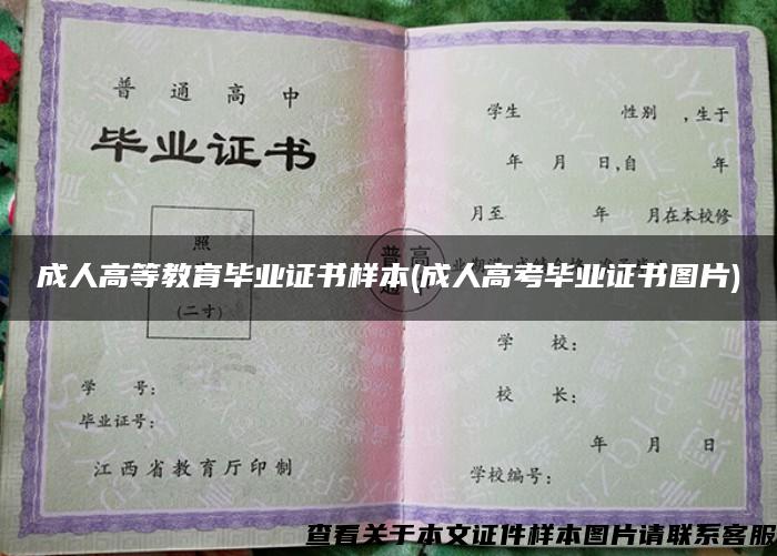 成人高等教育毕业证书样本(成人高考毕业证书图片)