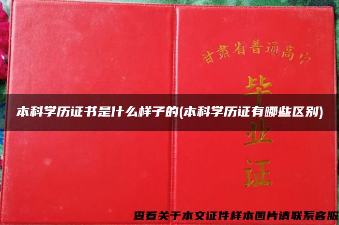 本科学历证书是什么样子的(本科学历证有哪些区别)