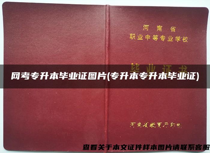 网考专升本毕业证图片(专升本专升本毕业证)