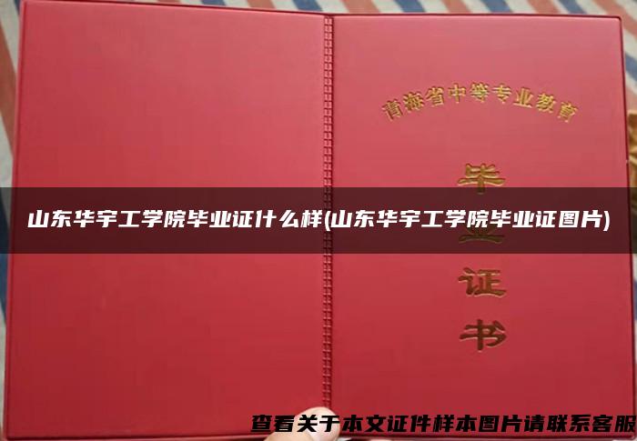 山东华宇工学院毕业证什么样(山东华宇工学院毕业证图片)