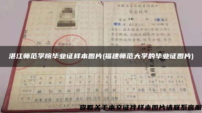 湛江师范学院毕业证样本图片(福建师范大学的毕业证图片)