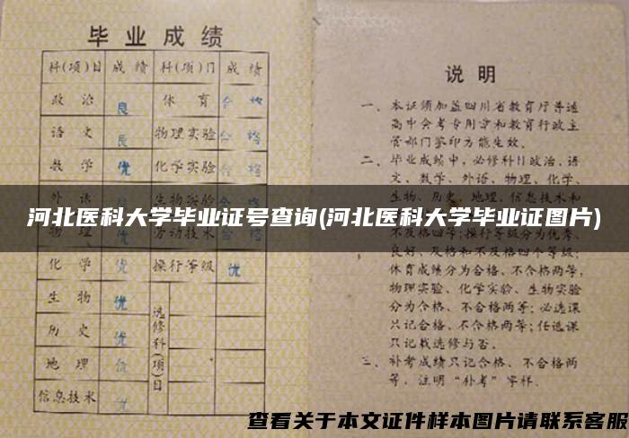 河北医科大学毕业证号查询(河北医科大学毕业证图片)