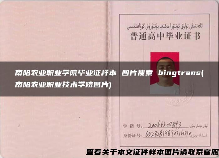 南阳农业职业学院毕业证样本 图片搜索 bingtrans(南阳农业职业技术学院图片)