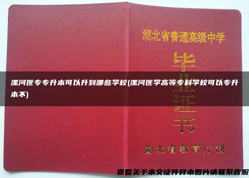 漯河医专专升本可以升到哪些学校(漯河医学高等专科学校可以专升本不)